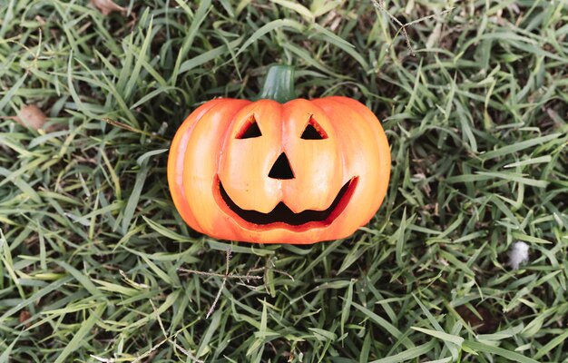 Halloween pumpkin in the grass