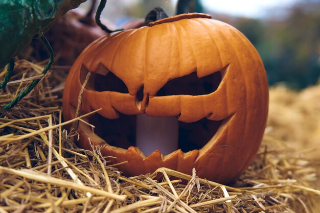 Хеллоуин тыквенный головной домкрат. Декоративные тыквы на фермерском рынке стоит на снопах сена. Праздничный сезон благодарения и декор на Хэллоуин.