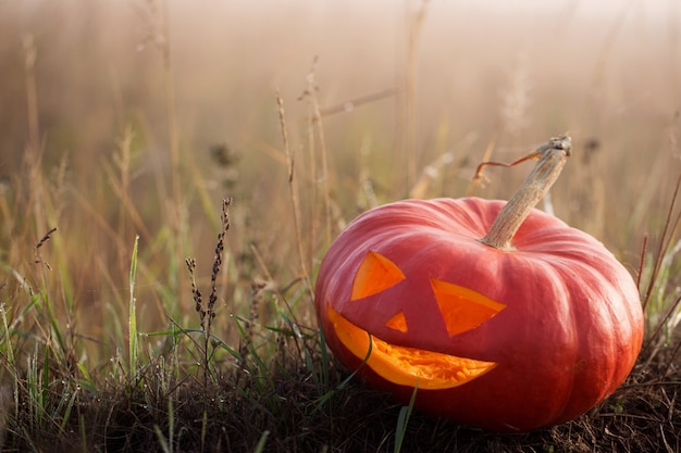 Zucca di halloween all'aperto