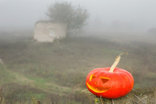 Halloween pumpkin outdoor