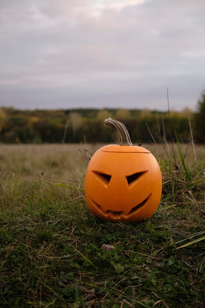 halloween pumpkin in the park, jack'o lantern