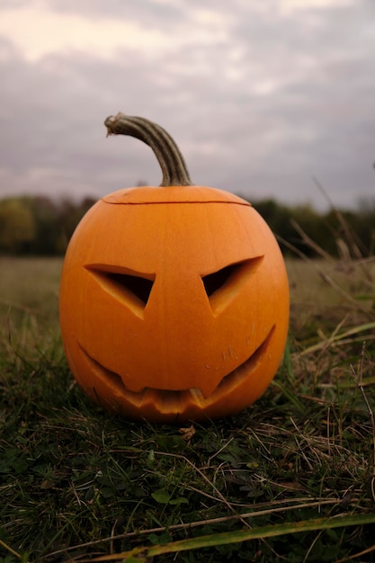 halloween pumpkin in the park, jack'o lantern