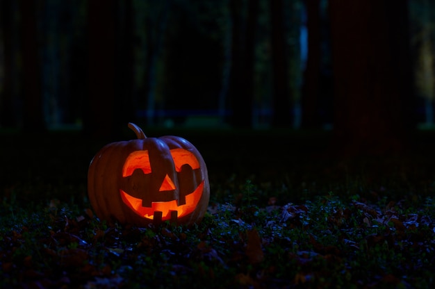 Halloween Pumpkin in the park