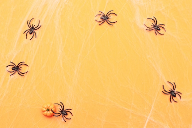 Halloween pumpkin with spider web and black spiders on orange background