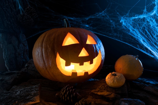 Foto zucca di halloween con disposizione a ragnatela