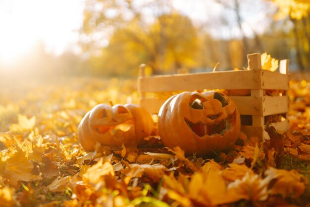 Halloween pumpkins on the autumn street Holidays decoration concept