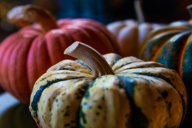 Halloween pumpkins captured in realistic daylight