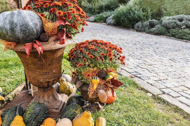 Halloween pumpkins and chrysanthemum flowers fall outdoor decoration