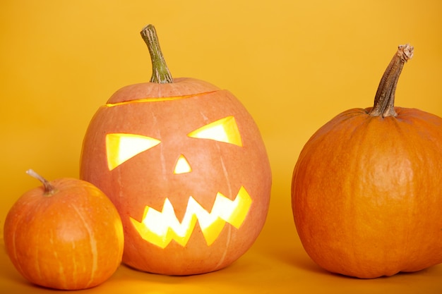 Halloween pumpkins isolated over yellow, traditional spooky jack o lantern, american autumn holiday, three orange pumpkins against studio wall, last October night. Halloween concept.