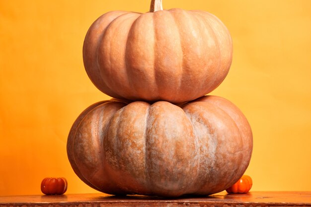 Halloween pumpkins isolated