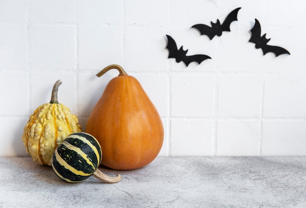 Zucche di halloween e decorazioni jack o lantern contro un muro bianco con pipistrelli.