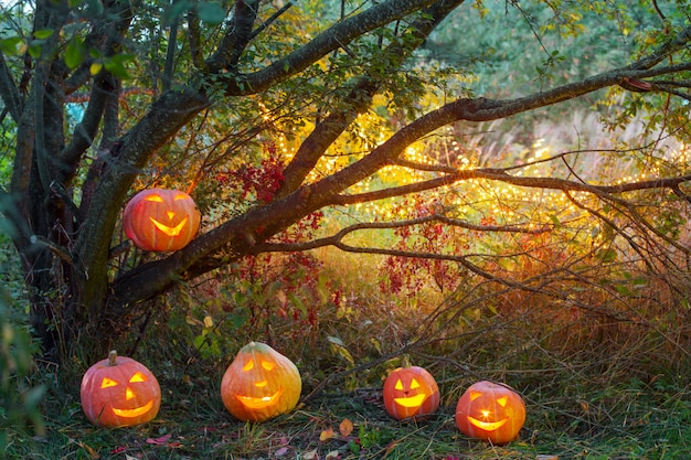 Zucche di halloween nella foresta di notte