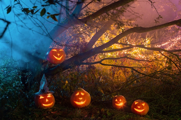 Halloween pumpkins in night forest