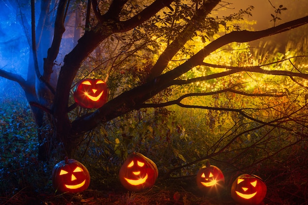 Halloween pumpkins in night forest