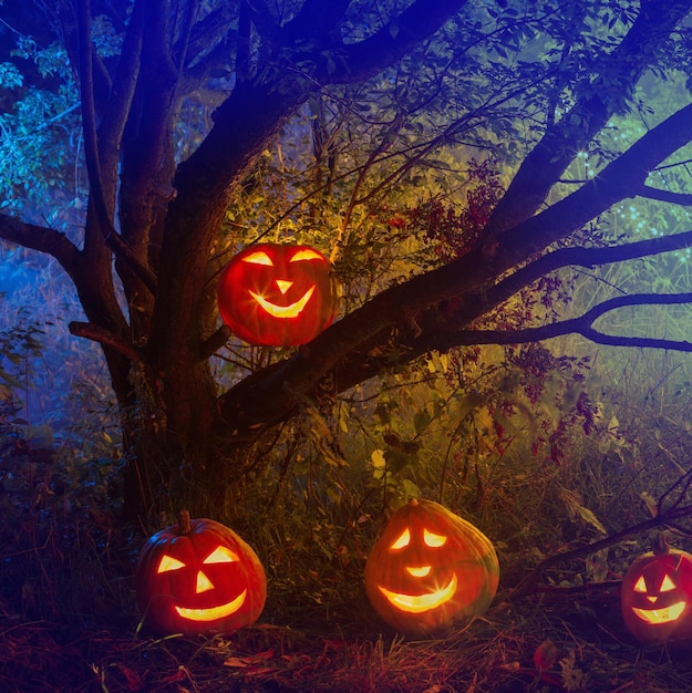 Halloween pumpkins in night mystery forest