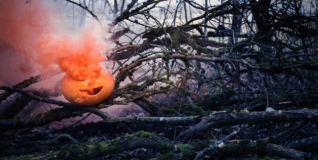 Photo halloween pumpkins in scary autumn forest