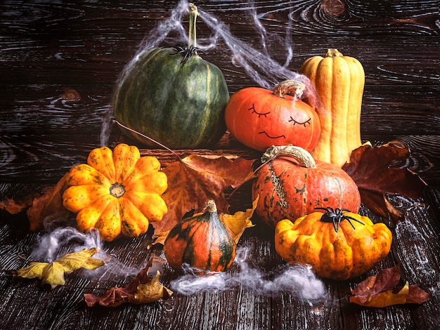 Halloween pumpkins spiders web and autumn leaves on a dark wooden background