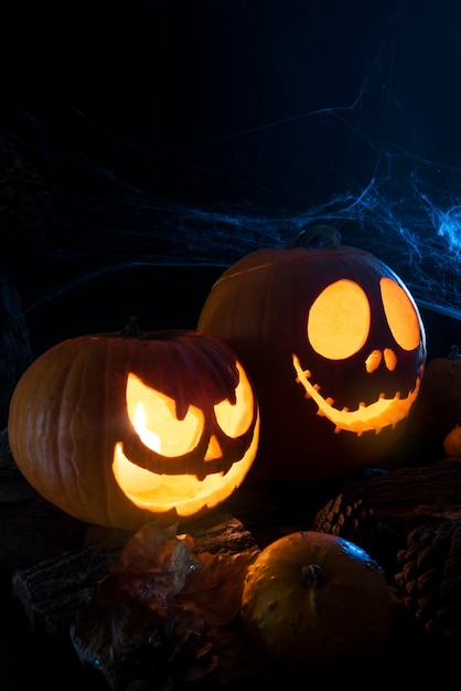 Halloween pumpkins with spiderweb assortment