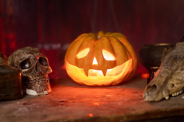 Halloween Scary Halloween pumpkin with carved face on table in dark room with human skull and animal skull Copy space for text Spooky atmosphere