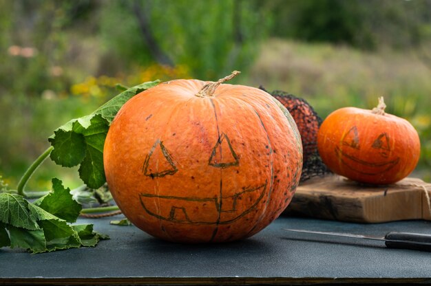 秋の庭で笑顔でハロウィン怖いカボチャ。お祝いの準備。ハロウィーンのためのカボチャの準備。ジャック・オー・ランタン。ハロウィーンのカボチャの装飾を作ります。