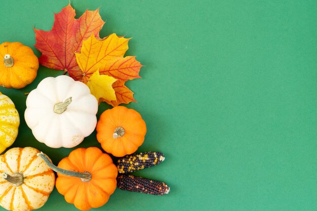halloween scene on orange background