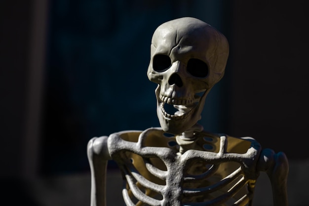 halloween skeleton decorations halloween skeleton for decorated house scary skeleton decorated at