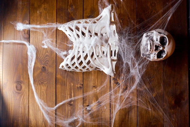 Halloween skeleton on wood surface under spider web. High quality photo