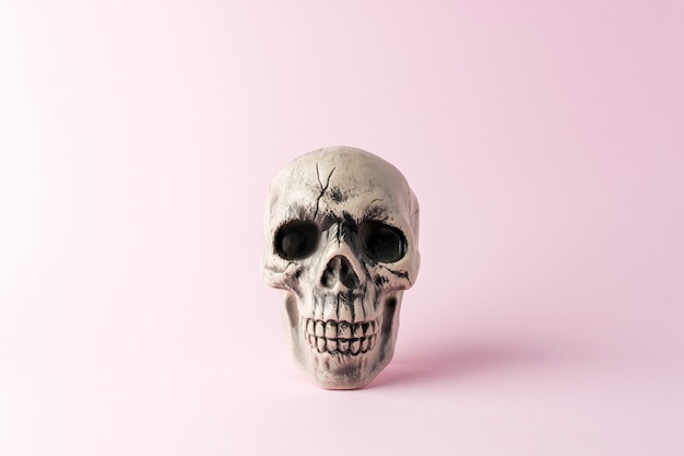 Halloween skull head on a pink background