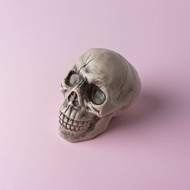 Halloween skull head on a pink background