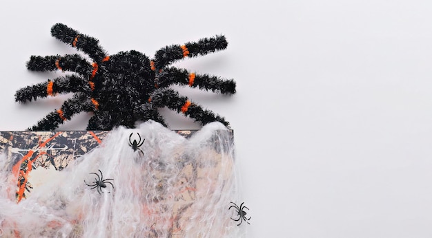 Фото Хэллоуин паук на белом фоне праздничный фон концепция празднования хэллоуин концепция