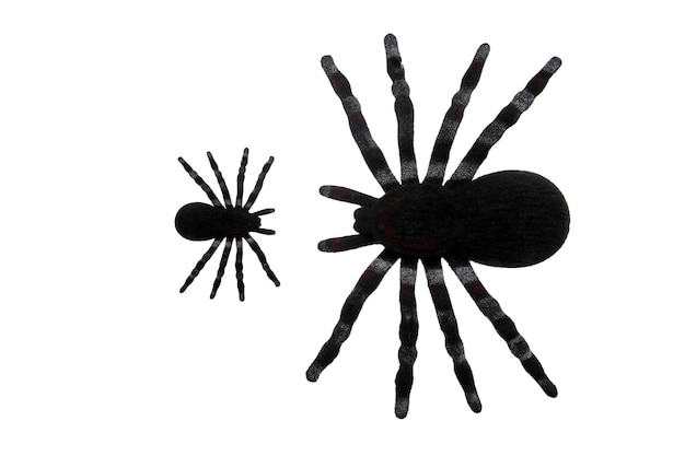 Halloween Spiders