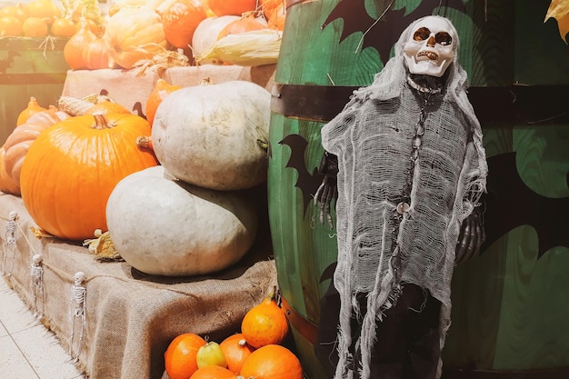 Halloween-versieringen skelet en verse pompoenen boerenmarkt rijpe groenten op planken te koop op het platteland