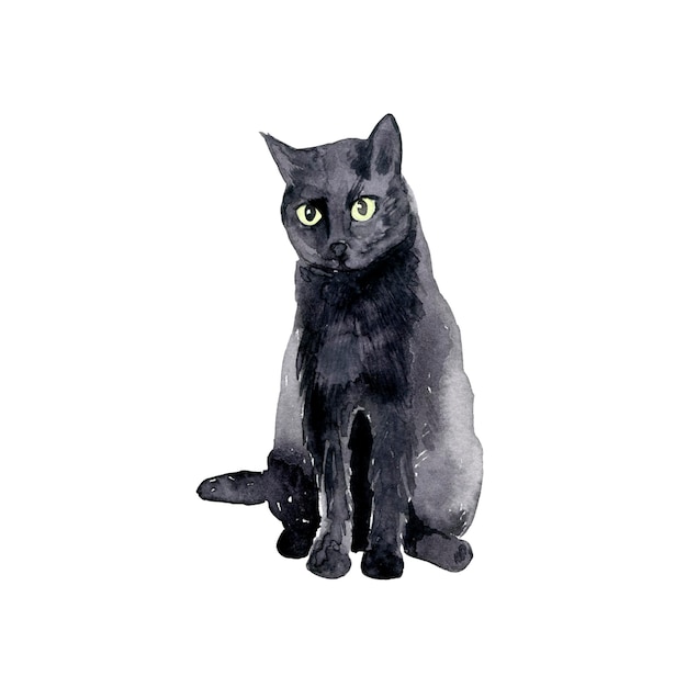 Halloween watercolour decorative isolate illustration of a black cat