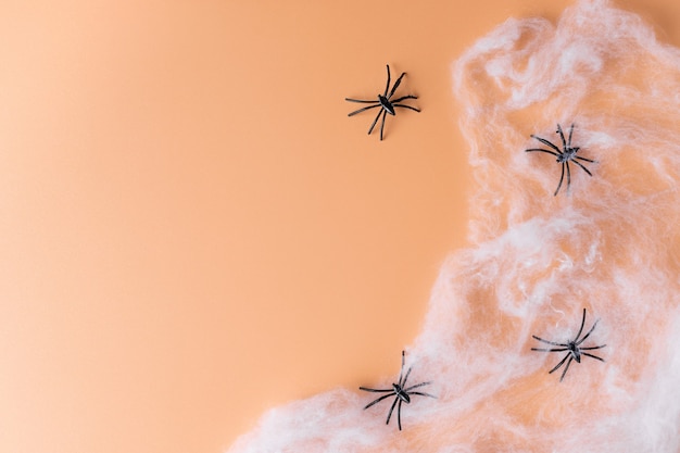 Halloween zijrand van spinnen en spinnenweb Herfst Halloween seizoen concept