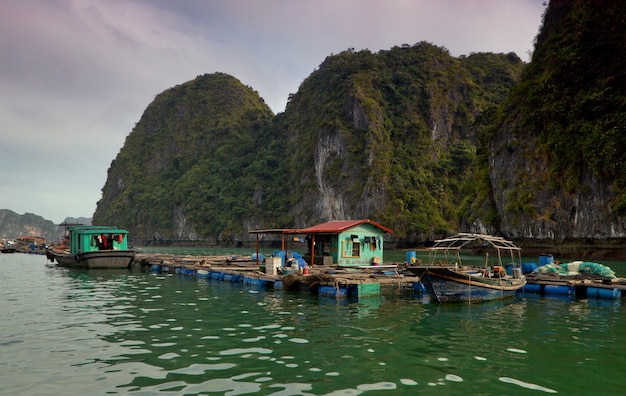 Halong Bay Vietnam1월에 촬영