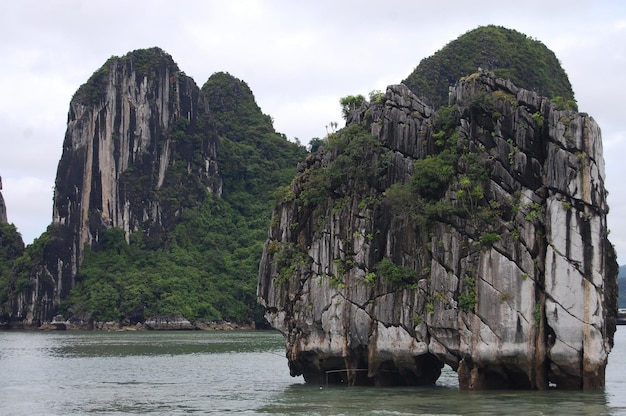 Halong 또는 Ha Long Bay 유네스코 세계 자연 유산 및 베트남 하노이의 석회암 2000개 섬을 포함한 베트남인 및 외국인 여행자에게 인기 있는 여행지 크루즈 방문