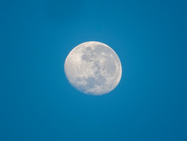 Halve maan aan de blauwe lucht