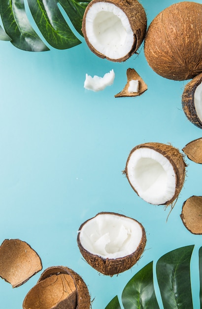 Halves of coconut, open  cut in half isolated on blue background.