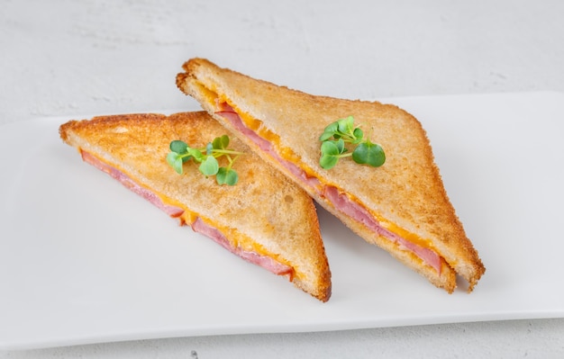 Photo ham and cheese sandwich