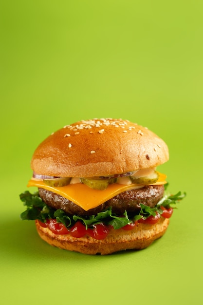 Hamburger on a green background