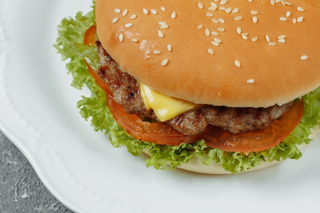 Hamburger met frietjes en salade op de plaat.