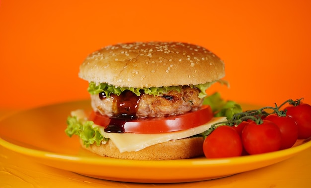 Hamburger of broodje Heerlijke sandwich hamburger met vleeskaas en verse groente Hamburger of broodje is het populaire fastfood voor brunch of lunch Sappige cheeseburger