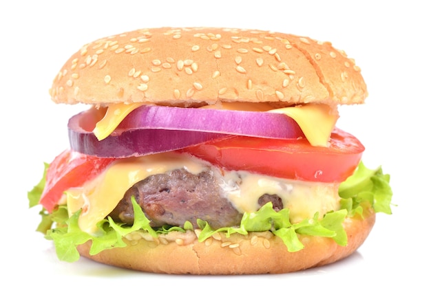 Hamburger on a white background