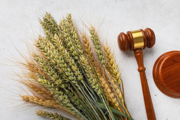 Hamer en oren met tarwe en gerst behandelt graan en opheffing van het handelsverbod