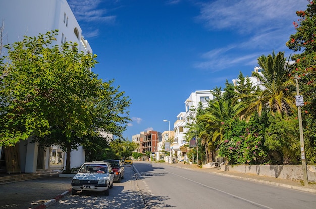 HAMMAMET TUNISIA Oct 2014 Street with date palms trees and white buildings on October 6 2014