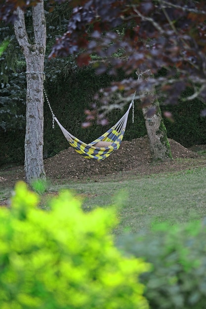 Foto un'amaca in mezzo agli alberi sul campo