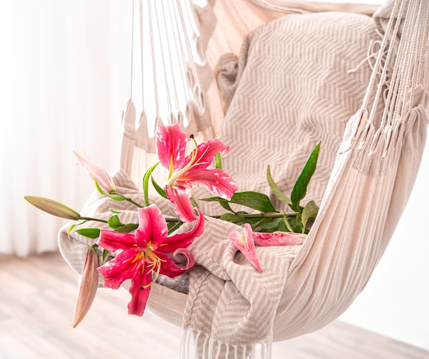 hammock chair hangs in the room. Cozy place to relax at home.