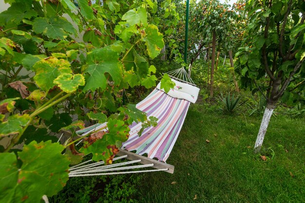 Hammock in the green garden