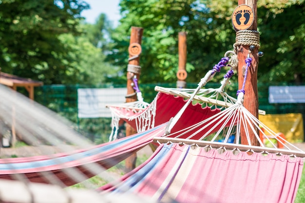 Hammock hanging in the green summer park