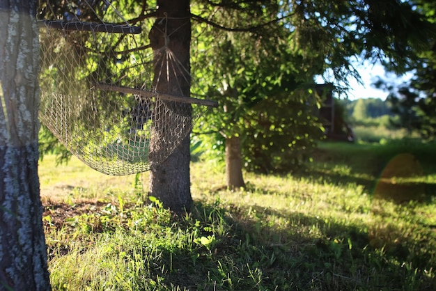 Hammock nature green